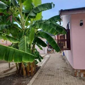5bdrm House in Ununio, Bunju for sale - Bunju - by mbaga quick sale p.