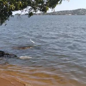 Plot for Sale at Mwanza Bwiru