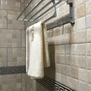 Furnished 2-Bedroom Apartment in Upanga for Rent