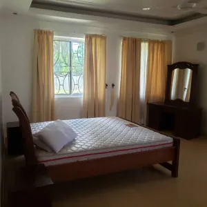 Furnished 3-Bedroom House in Mikocheni for Rent