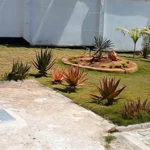 Furnished 4-Bedroom House in Bunju Beach Moga for Rent