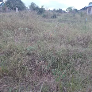 Kiwanja Sqmita 100 Kinauzwa Ukonga Bombambili. - Ilala - by Romeni J.