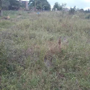 Kiwanja Sqmita 100 Kinauzwa Milioni 1.5 Ukonga Bombambili. - Ilala - by Romeni J.
