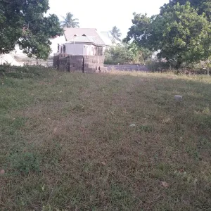 Plot 150 Sqm For Sale, Ukonga Majohe Bwela