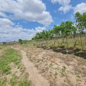 Plot for Sale at Mbweni Teta Investment Area