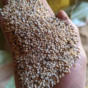 Sesame Seeds