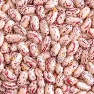 Sugar Beans - 2