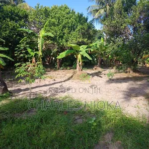 2 Acre Commercial Land for Sale in Majohe Kichangani - 3