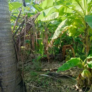 2 Acre Commercial Land for Sale in Majohe Kichangani - 5