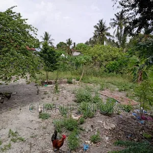 1500 Sqm Land for Sale in Ukonga Moshibar - 2