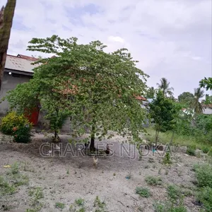 1500 Sqm Land for Sale in Ukonga Moshibar - 4