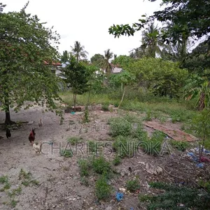 1500 Sqm Land for Sale in Ukonga Moshibar - 6