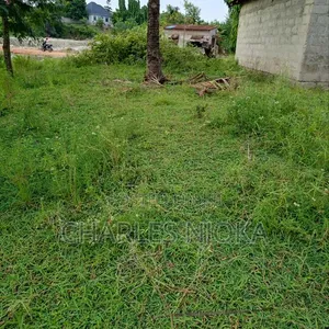 Kiwanja cha Makazi Kinauzwa Ukonga Bombambili - 2