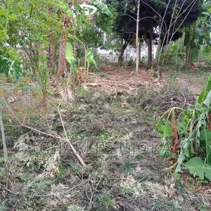 Kiwanja Kinauzwa Ukonga Kwa Diwani - 3