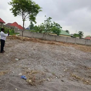 Kiwanja cha Makazi Kinauzwa Ukonga Bombambili - 5