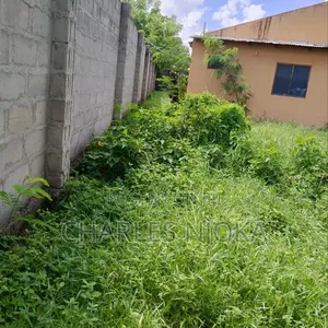 Eneo la Biashara na Nyumba 30,000 Sqm - Ukonga Mkolemba - 4