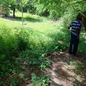 Eneo la Biashara na Nyumba 30,000 Sqm - Ukonga Mkolemba - 5