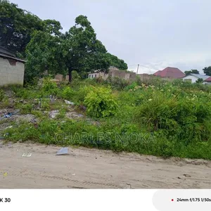Kiwanja cha Sqm 500 Kinauzwa Ukonga Bombambili - 3