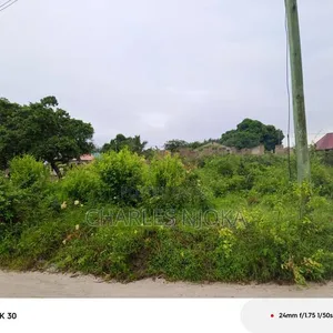 Kiwanja cha Sqm 500 Kinauzwa Ukonga Bombambili - 5