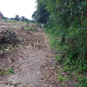 Kiwanja Kinauzwa 225 Sqm Majohe Rada - 4