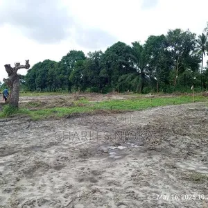 Residential Land 150 Sqm for Sale in Majohe Rada - 2