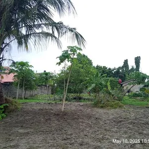 2000 Sqm Land for Sale in Ukonga Moshibar - 6
