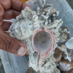 Coral Decoration for Aquarium and Home - 3