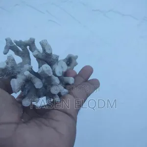 Coral Decoration for Aquarium and Home - 5