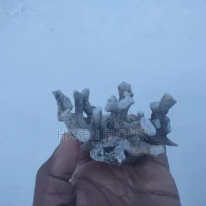 Coral Decoration for Aquarium and Home - 6