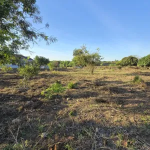 5200 sqm Plot for Sale, Mapinga Baobao