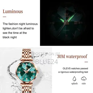 Olevs Fashion Waterproof Women's Watch 5536