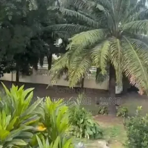 Kiwanja cha Kona Kinondoni Barabara Kuu Kinauzwa - 2