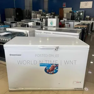Friza ya Kifua ya Westpoint 400L