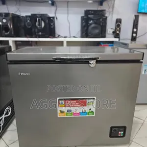 Snowsea SN-308 280L Freezer
