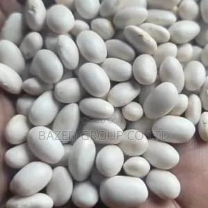 Maharage Meupe Yasiyo na GMO