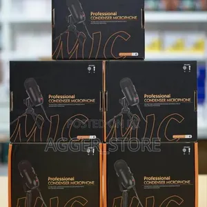 Professional Condenser Microphone