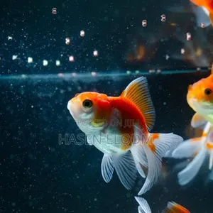 Chakula cha Samaki wa Aquarium Pellets 1mm - 2