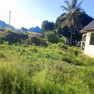 Land Plot 300 Sqm for Residential Use in Chuorada, Ilala - 2