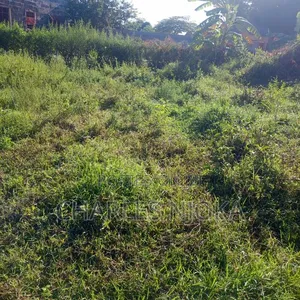 Land Plot 300 Sqm for Residential Use in Chuorada, Ilala - 4