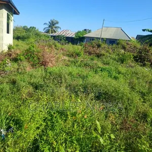Land Plot 300 Sqm for Residential Use in Chuorada, Ilala - 5