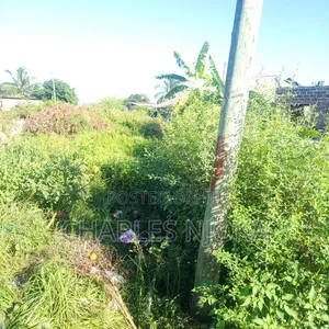 Land Plot 300 Sqm for Residential Use in Chuorada, Ilala - 6