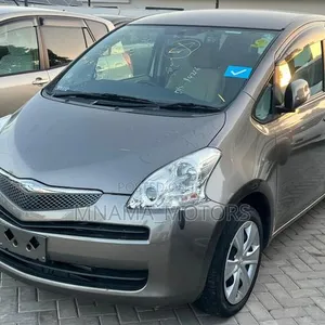 Toyota Ractis 1.5 FWD 2009 Kijivu - 4