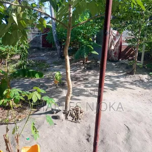 Nyumba ya Vyumba 3 Moshi Bar Kwadiwani, Ilala - 3
