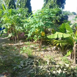 Nyumba ya Vyumba 3 Moshi Bar Kwadiwani, Ilala - 5