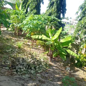 Nyumba ya Vyumba 3 Moshi Bar Kwadiwani, Ilala - 6