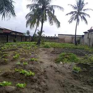 Nyumba ya Shamba Vyumba 4 Mazizini, Ilala Inauzwa - 6