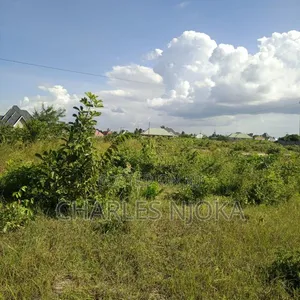 Kiwanja Kinauzwa - 2