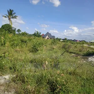 Kiwanja Kinauzwa - 3