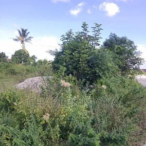 Kiwanja Kinauzwa - 4