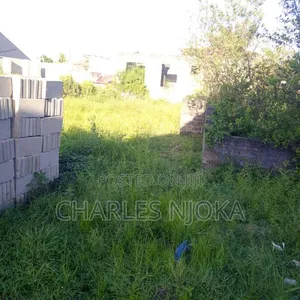 Kiwanja cha Makazi Kinauzwa - 2